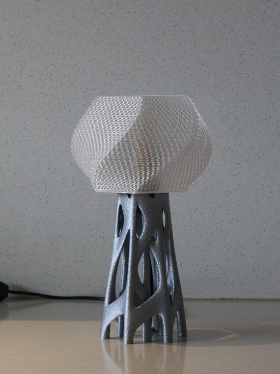 Organic 2 Table Lamp, 3D Printed Designer LED Light