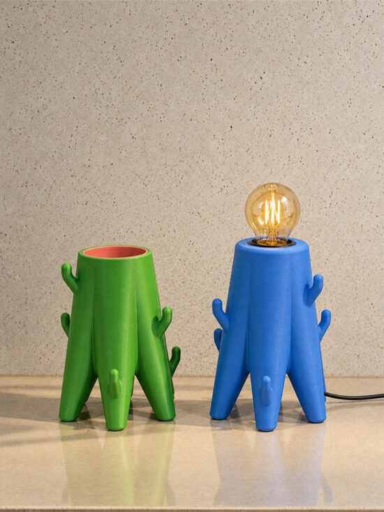 Cactoo Buddies